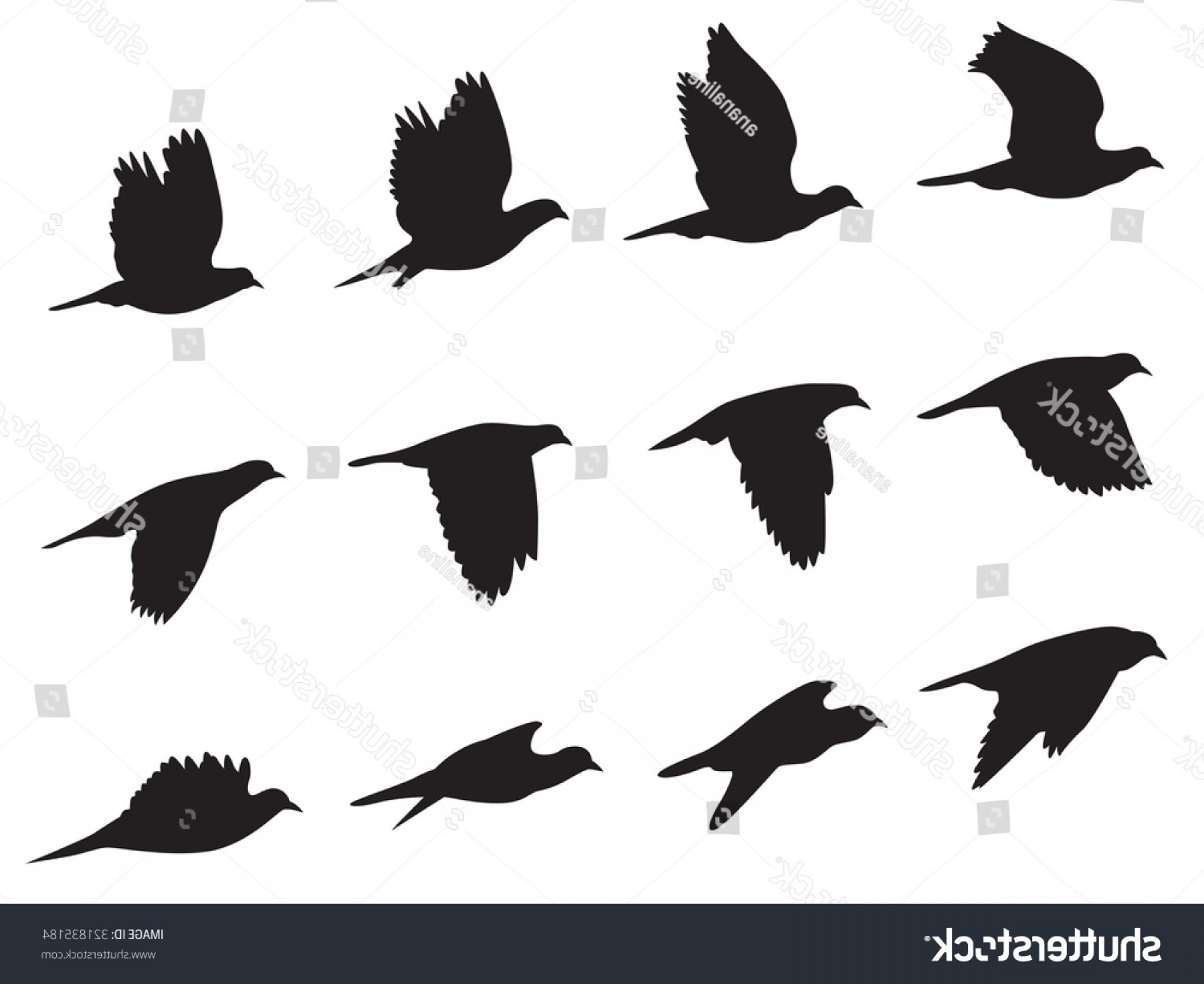 Flying Duck Silhouette Vector at Vectorified.com | Collection of Flying ...