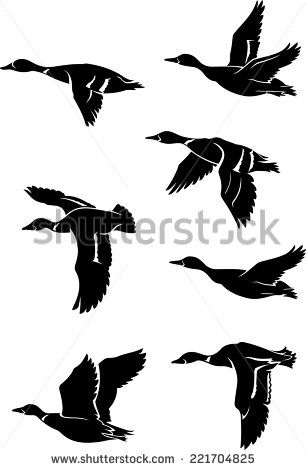 Flying Duck Silhouette Vector at Vectorified.com | Collection of Flying ...