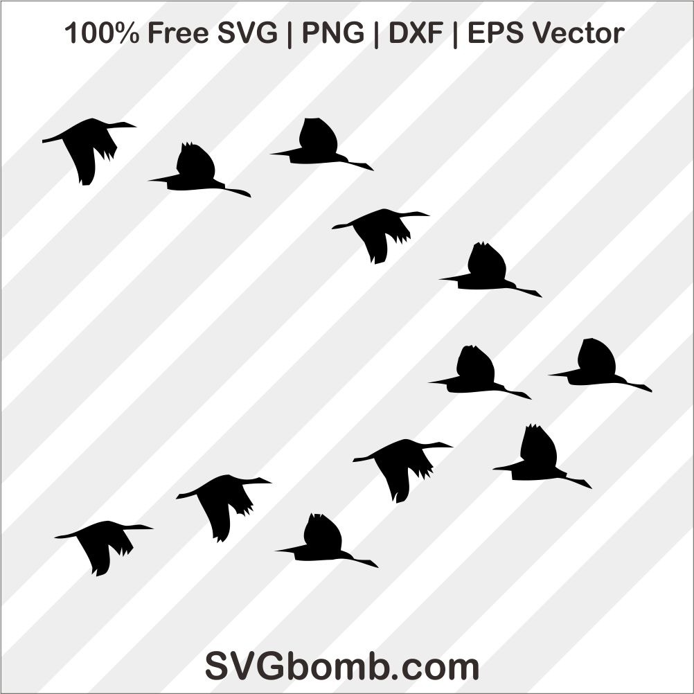 1002x1002 Hordes Of Flying Ducks