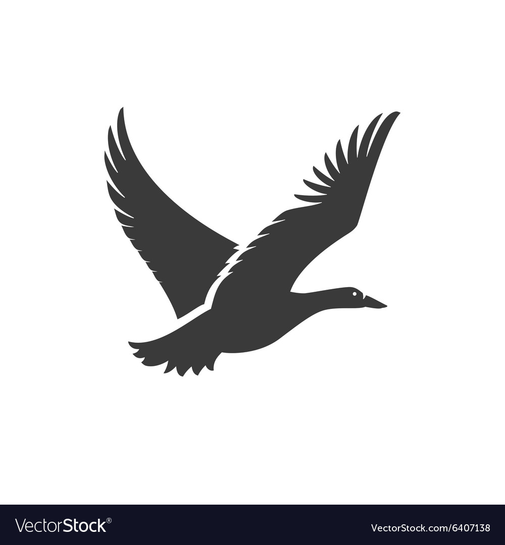 1000x1080 Huge Collection Of 'duck Flying Silhouette' Download More Than