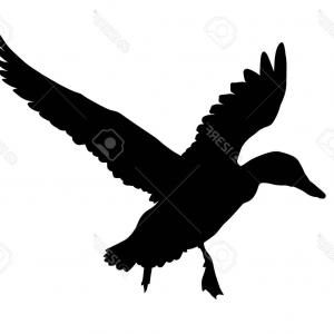 300x300 Photostock Vector Flying Duck Silhouette Vector Createmepink
