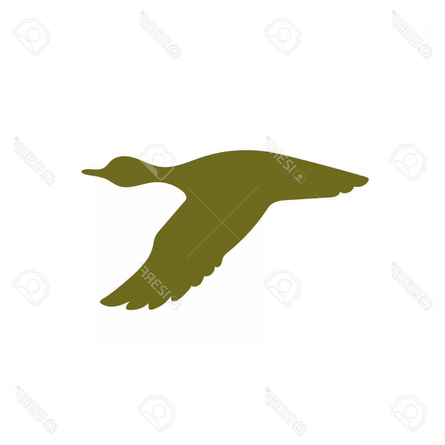 1560x1560 Photostock Vector Vector Silhouette Flying Duck Vector