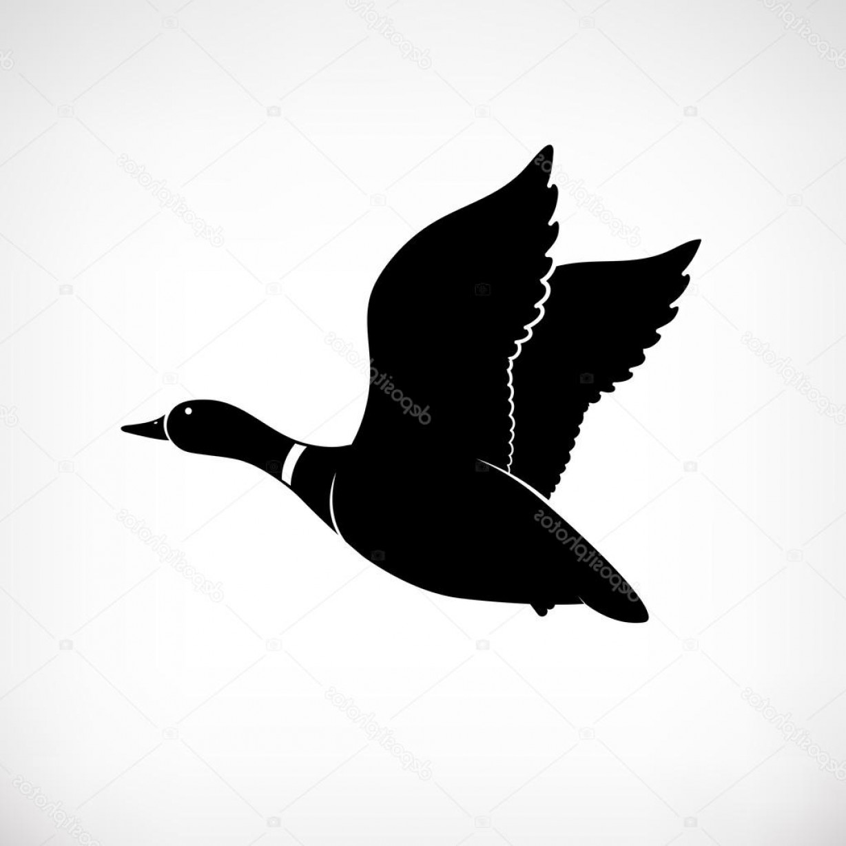1228x1228 Stock Illustration Flying Duck Vector Mallard Duck Soidergi