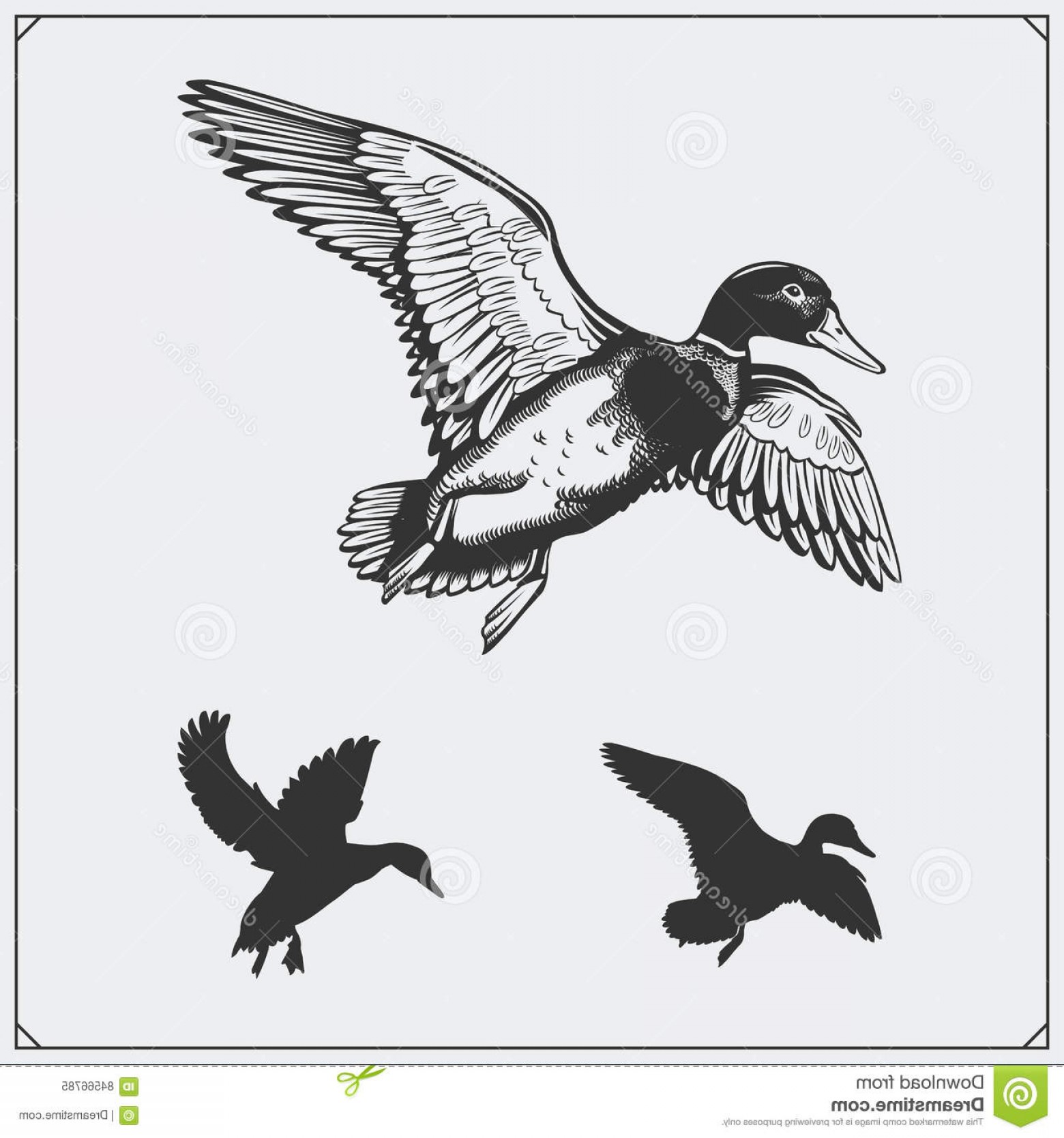 Flying Duck Vector at Vectorified.com | Collection of Flying Duck ...