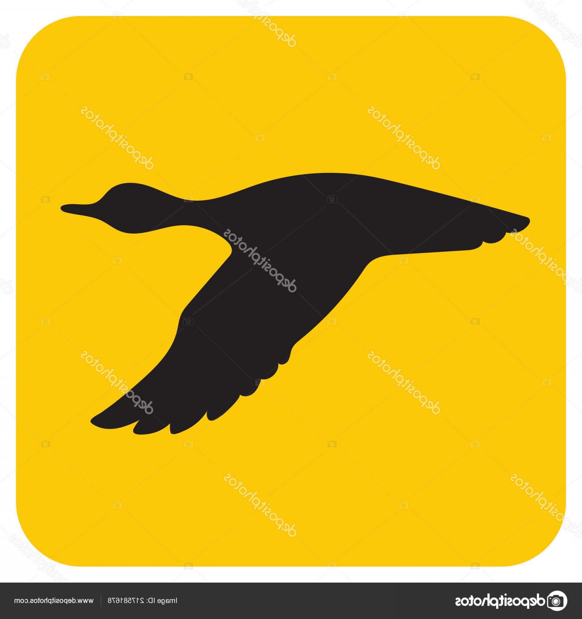 1920x2040 Stock Illustration Vector Silhouette Flying Duck Vector Catchsplace
