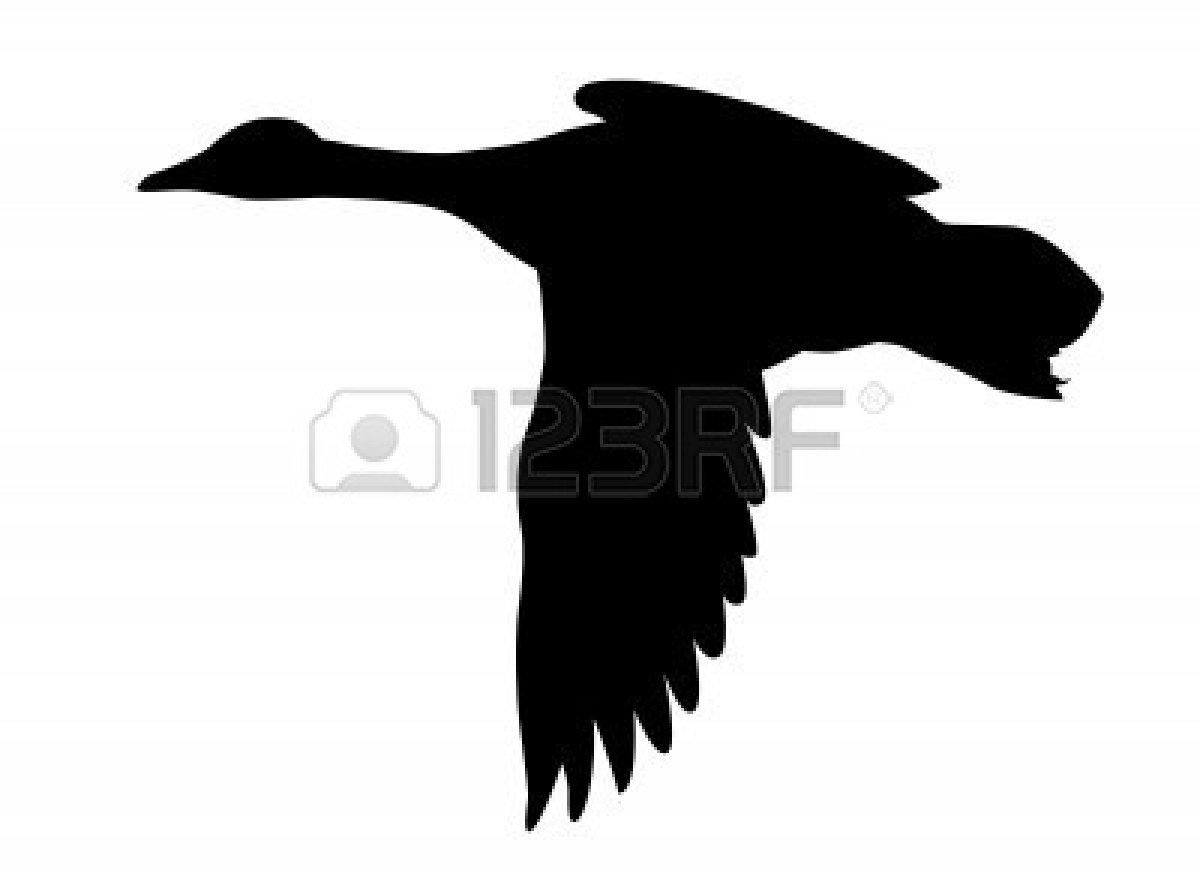 1200x879 Vector Silhouette Flying Ducks