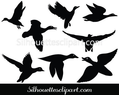 500x400 Flying Duck Silhouette Vector Graphics Myndir