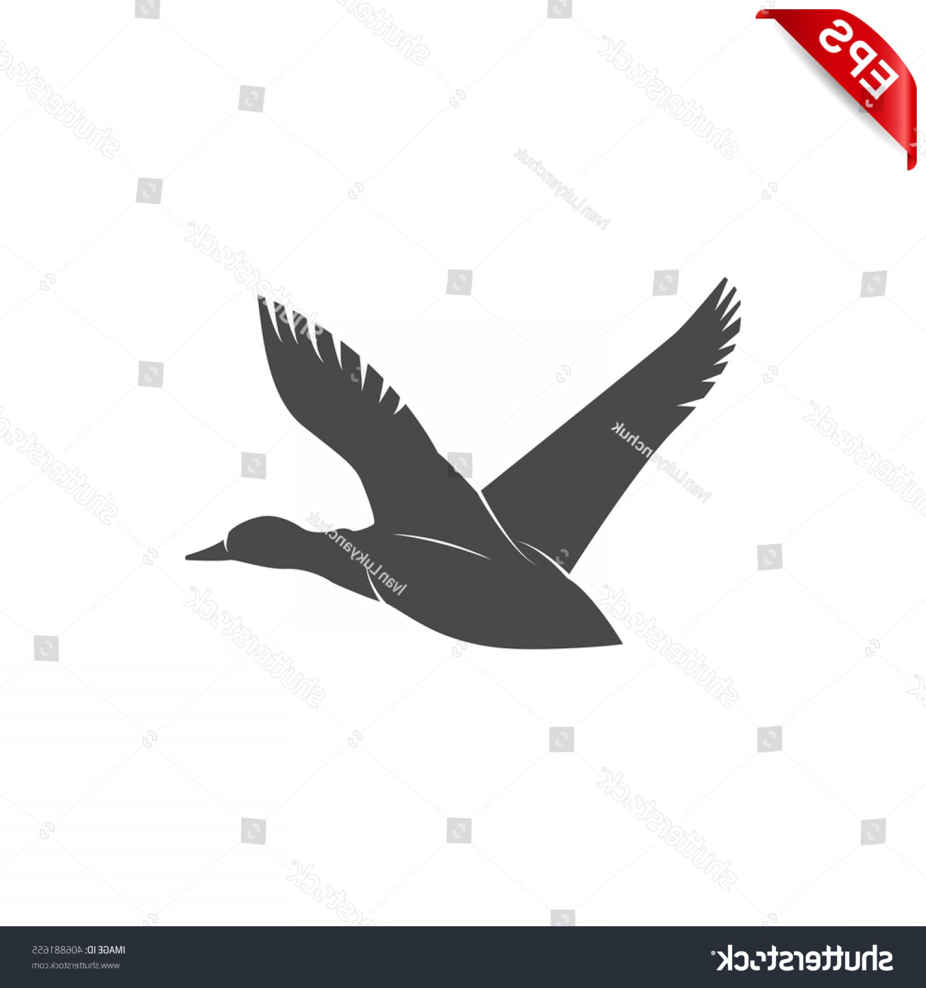 1800x1920 Flying Duck Vector Black Catamart