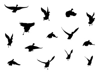339x240 Flying Duck Vector Photos, Royalty Free Images, Graphics, Vectors