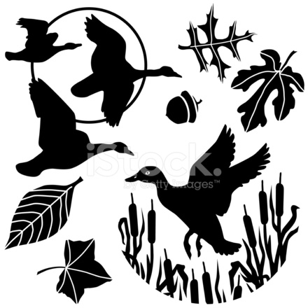 440x440 Flying Duck And Geese Stock Vector