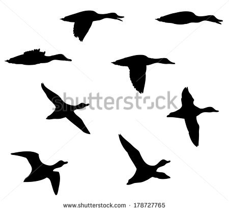 450x414 Huge Collection Of 'flying Ducks Silhouette' Download More Than