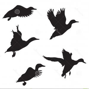 300x300 Huntsman On Lake Shoots At Flying Duck Silhouettes Vector Clipart