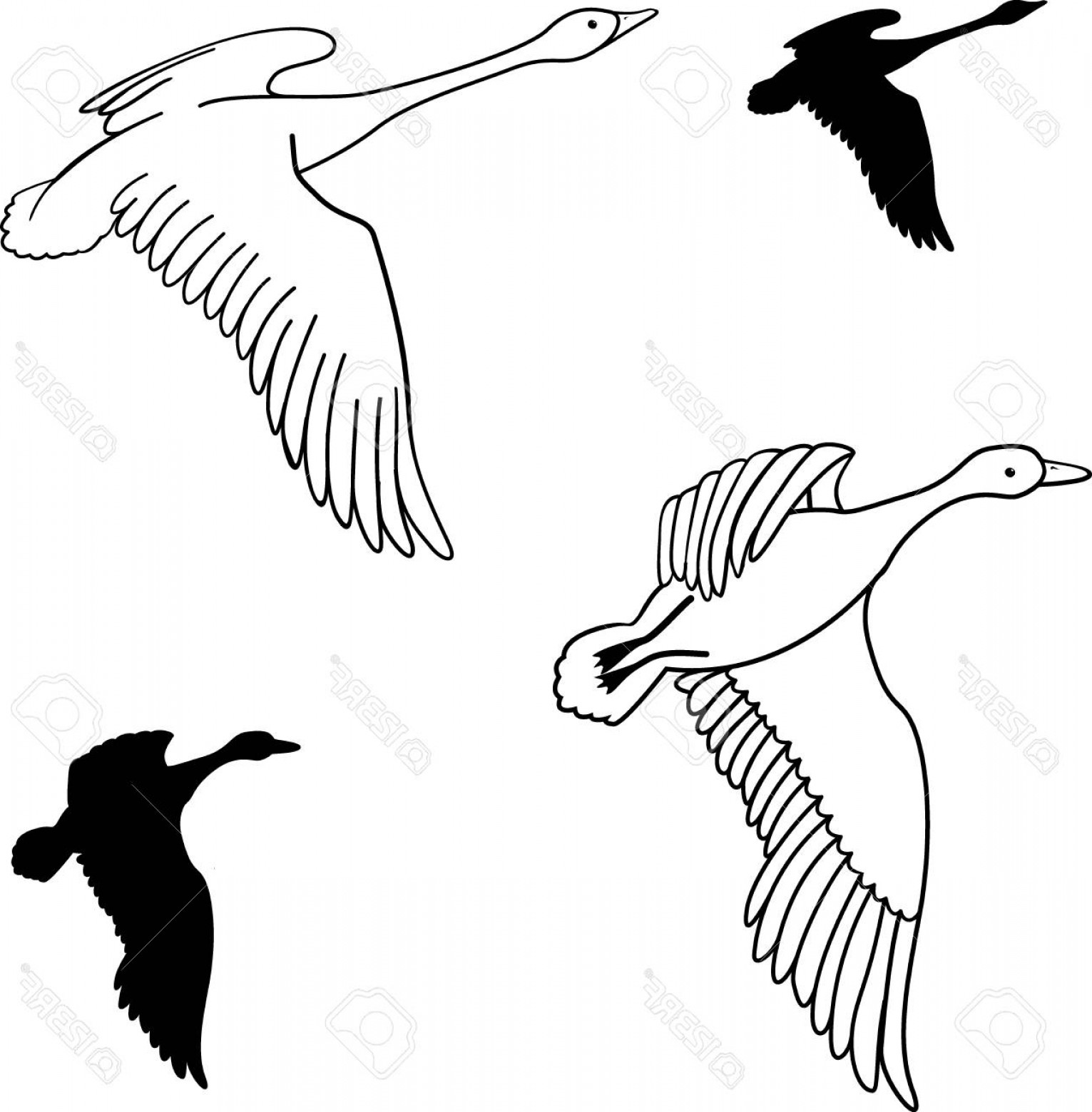 1531x1560 Photostock Vector Vector Set Of Flying Wild Ducks Isolated