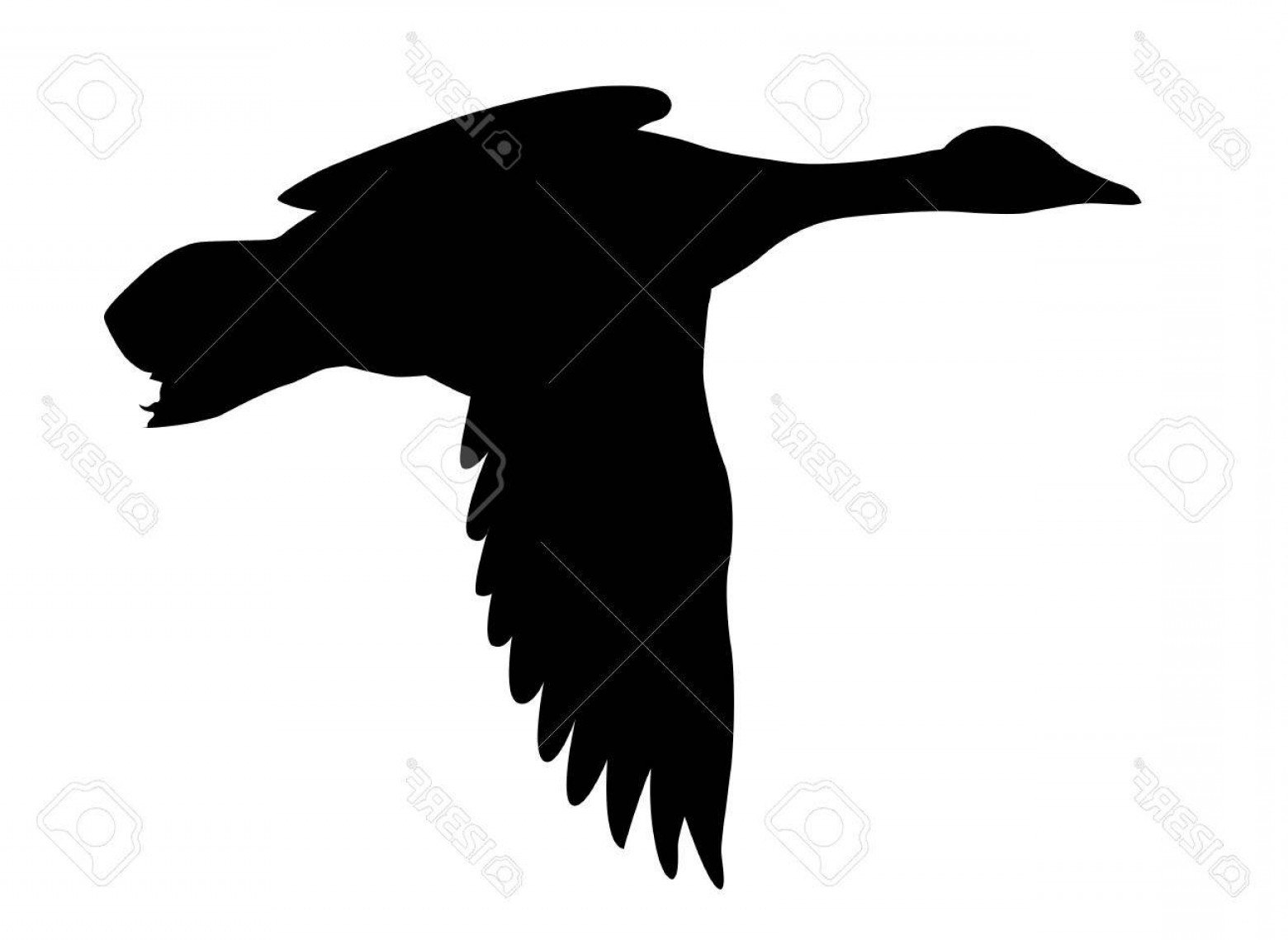 1560x1138 Photovector Silhouette Flying Ducks On White Background Createmepink