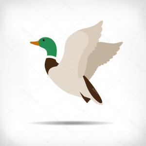 300x300 Stock Illustration Flying Duck Vector Mallard Duck Geekchicpro
