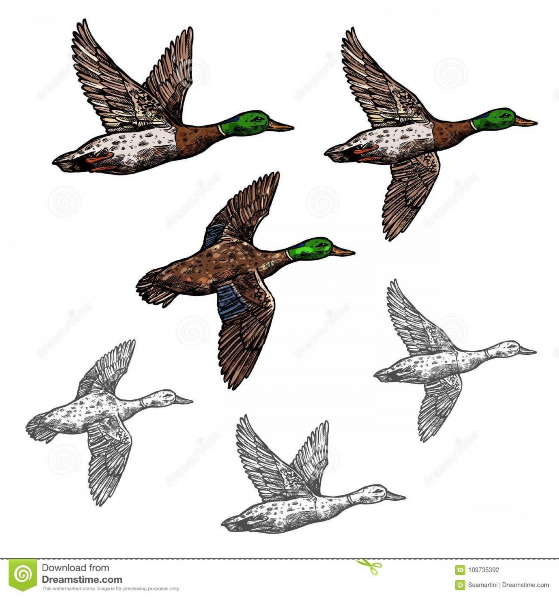 Flying Ducks Vector at Vectorified.com | Collection of Flying Ducks ...