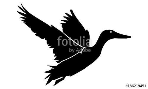 500x300 Silhouette Of Flying Ducks Stock Image And Royalty Free Vector
