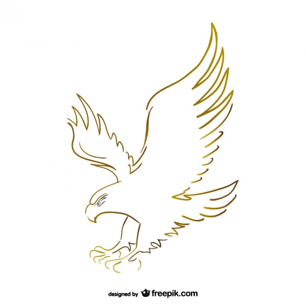626x626 Flying Eagle Sketch Vector Vector Free Download