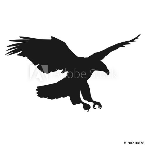 500x500 Flying Eagle Vector Illustration Black Silhouette