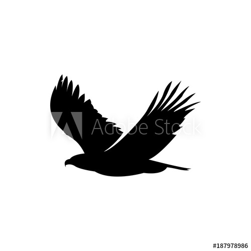 500x500 Flying Eagle Vector Silhouette