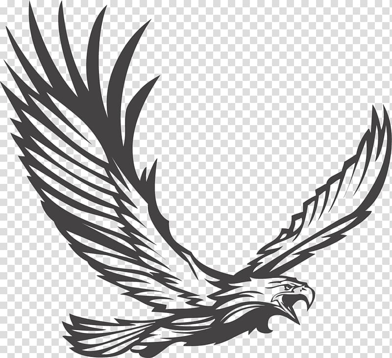 Flying Eagle Vector at Vectorified.com | Collection of Flying Eagle ...