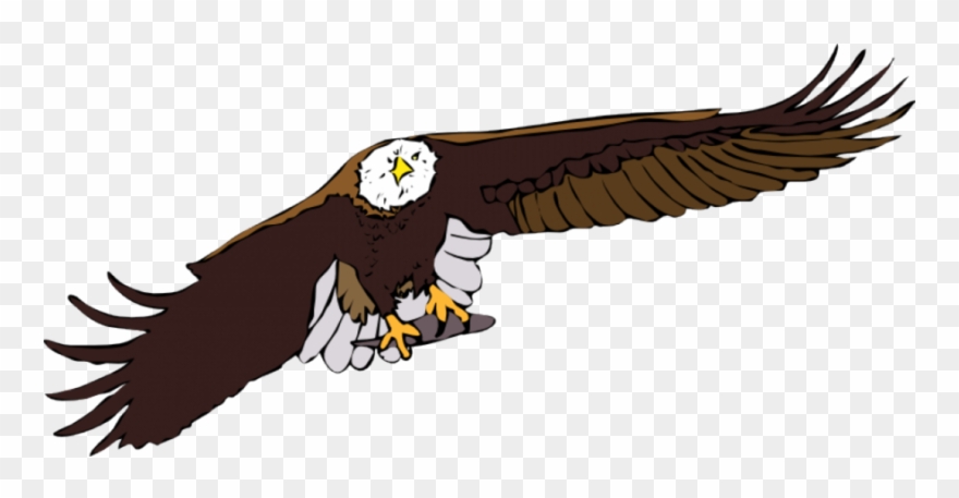 880x457 Download Flying Eagle Clipart Bald Eagle White Tailed