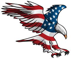 240x200 Eagle Flying Free Vector Art
