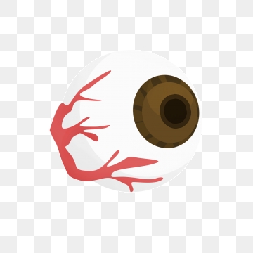 360x360 Eyeball Png, Vector, And Clipart With Transparent Background