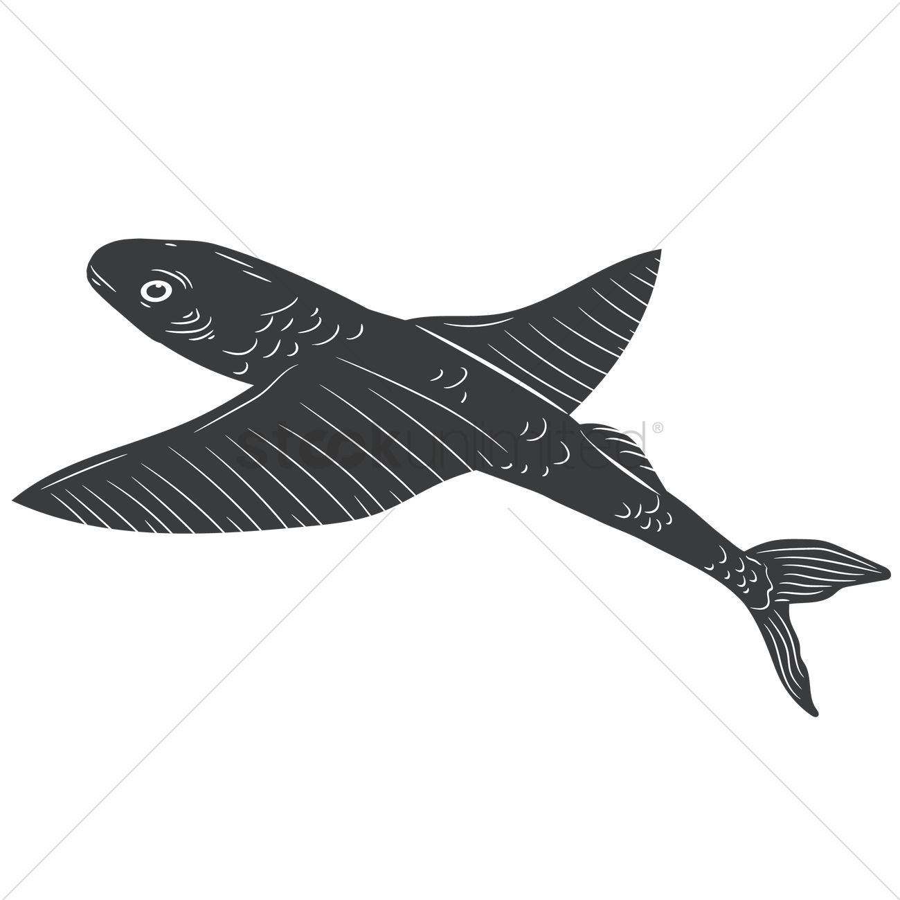1300x1300 Free Flying Fish Vector Image
