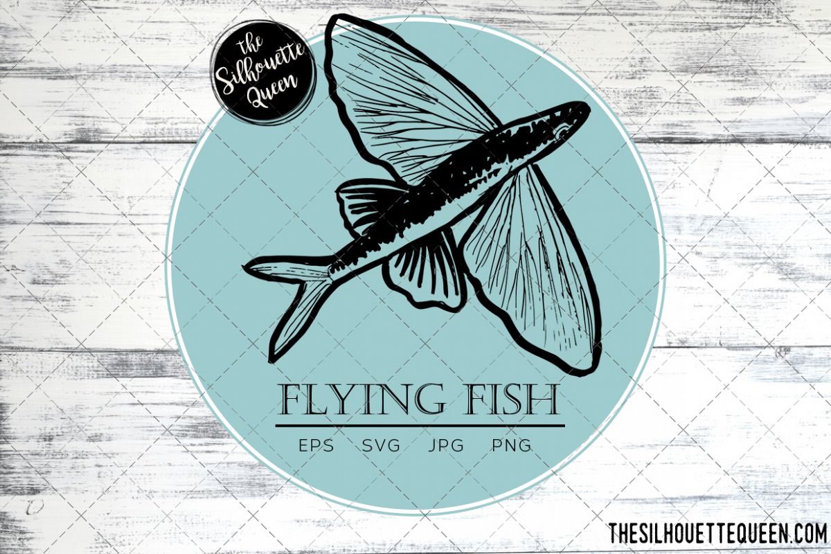 1200x800 Hand Drawn, Sketched Flying Fish Fish Vector