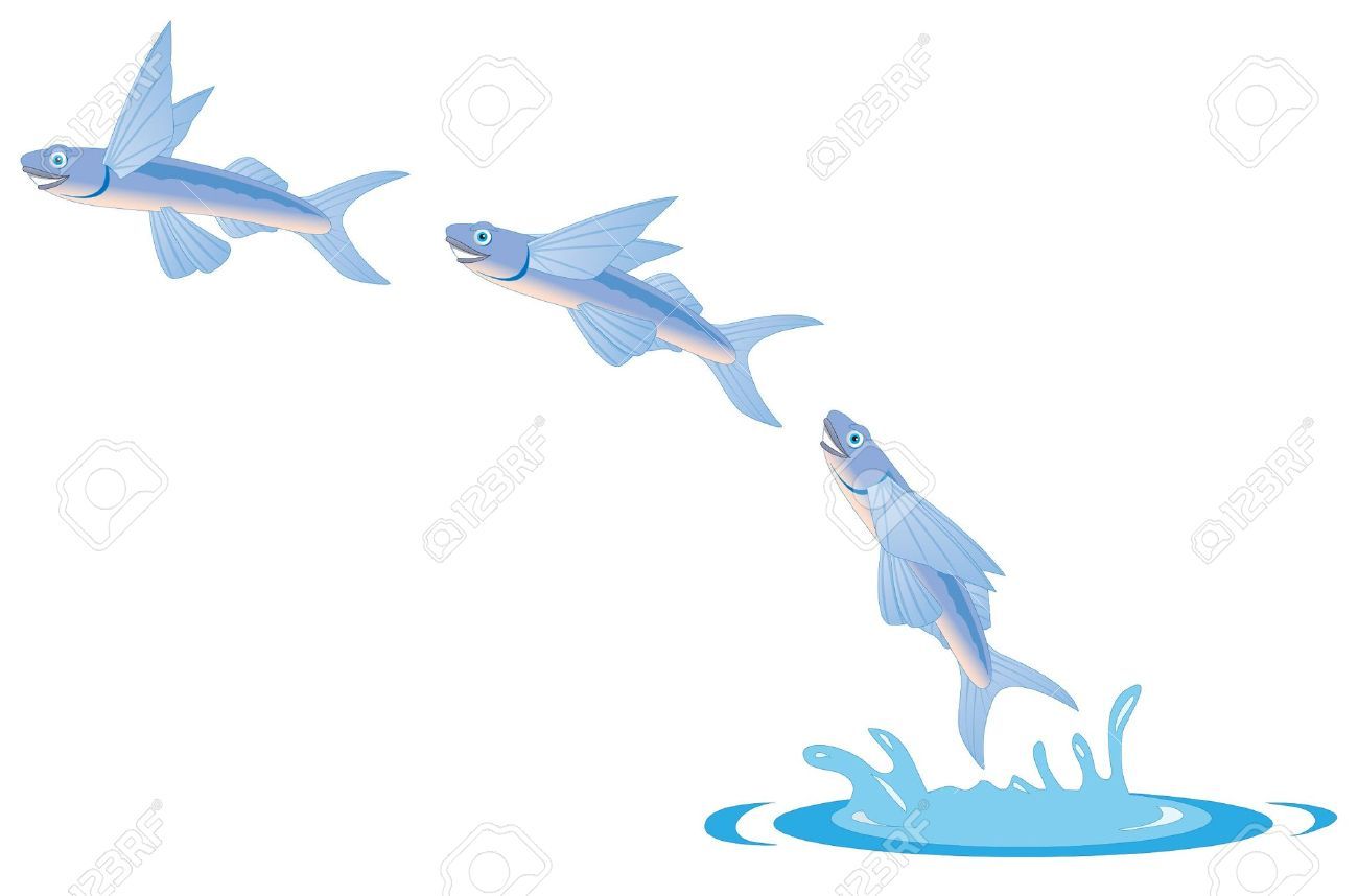 1300x858 Stock Vector Project A, Ocean Lifeform Illustration, Cartoon