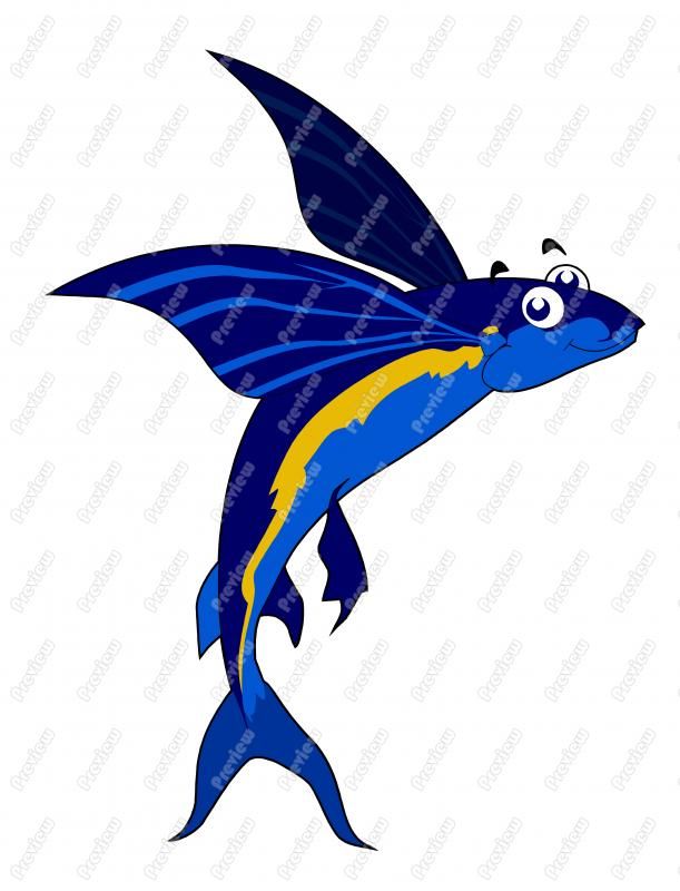 611x800 Flying Fish Flying Fish Clip Art