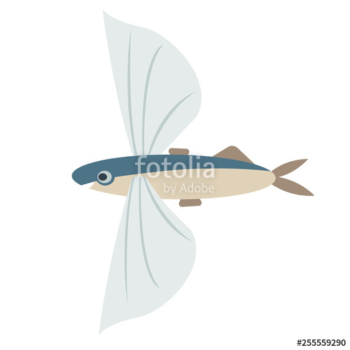 500x500 Flying Fish Flat Color Art Illustration Stock Image And Royalty