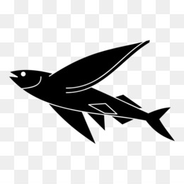 260x260 Clip Art Flying Fish Vector Graphics Portable Network Graphics
