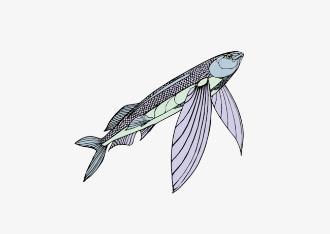 650x461 Download Free Png Cartoon Flying Fish, Cartoon Vector, Fish Vector