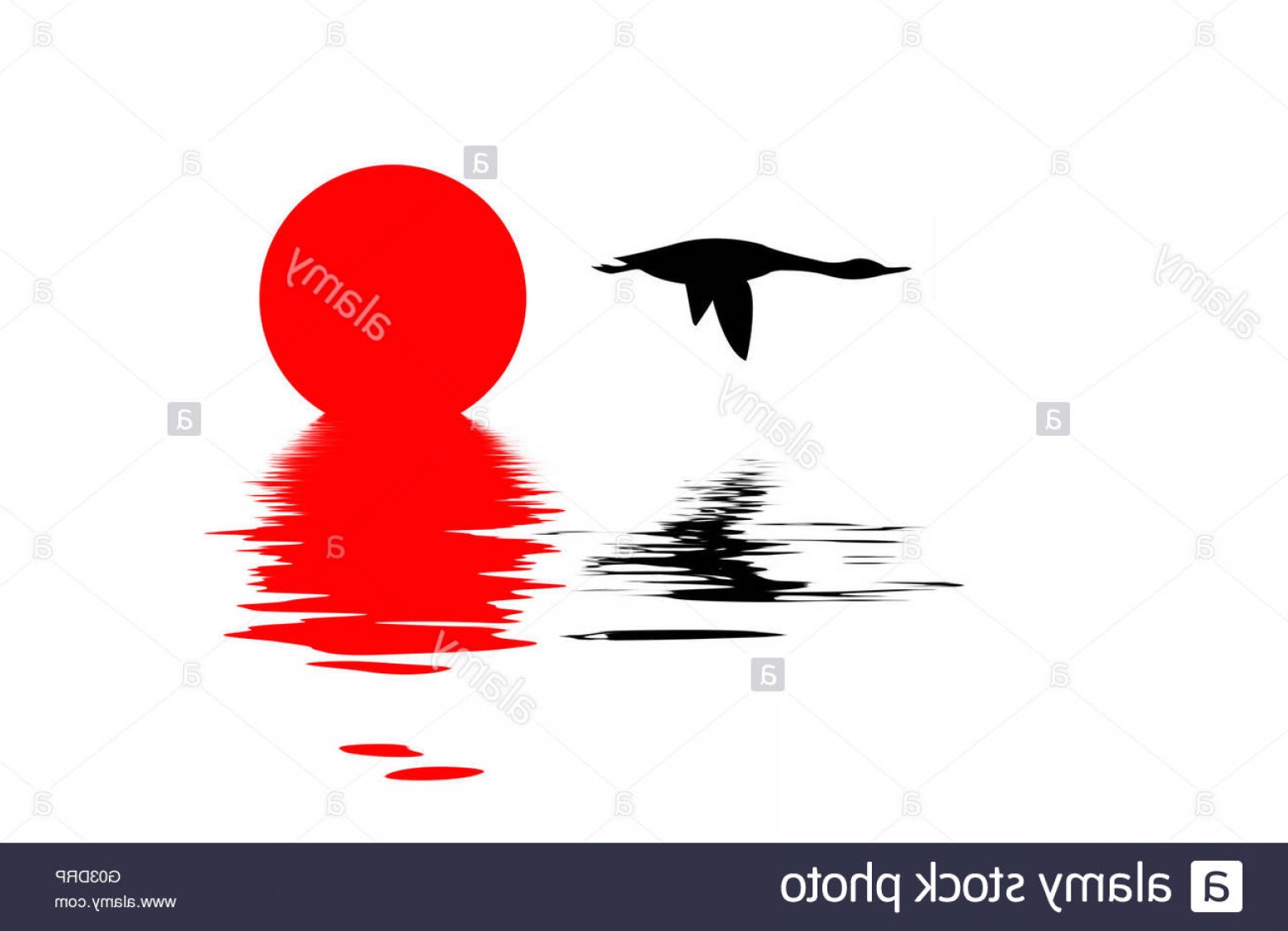 1560x1128 Stock Photo Vector Silhouette Flying Goose On White Background