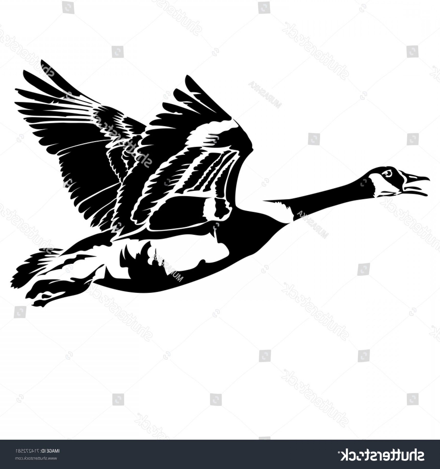 1800x1920 Vector Flying Goose Vector Flat Illustration Black Silhouette