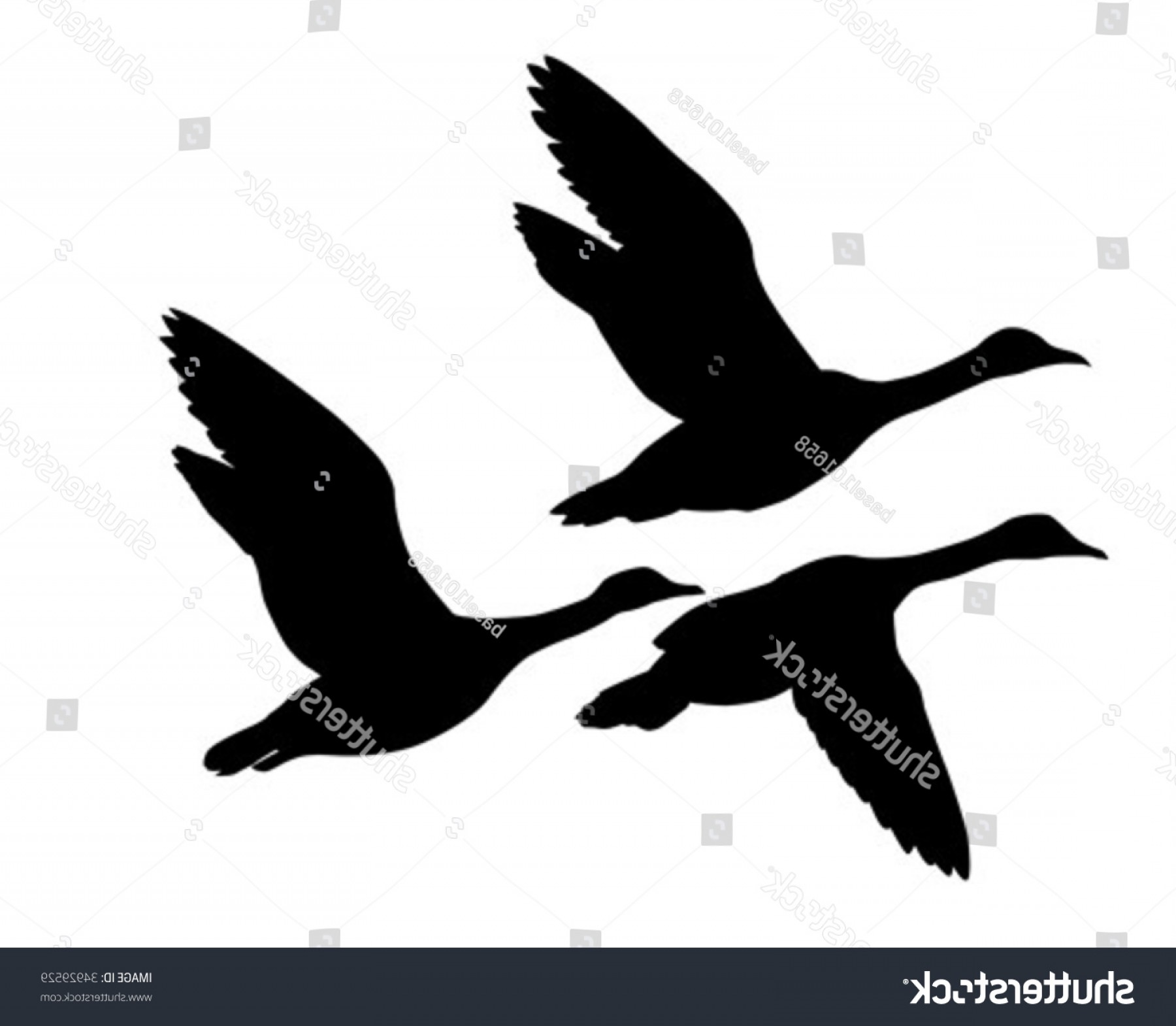 Flying Goose Vector At Vectorified.com | Collection Of Flying Goose ...