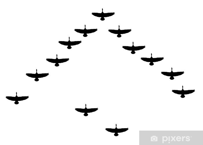 700x502 Flying Geese Vector Wall Mural