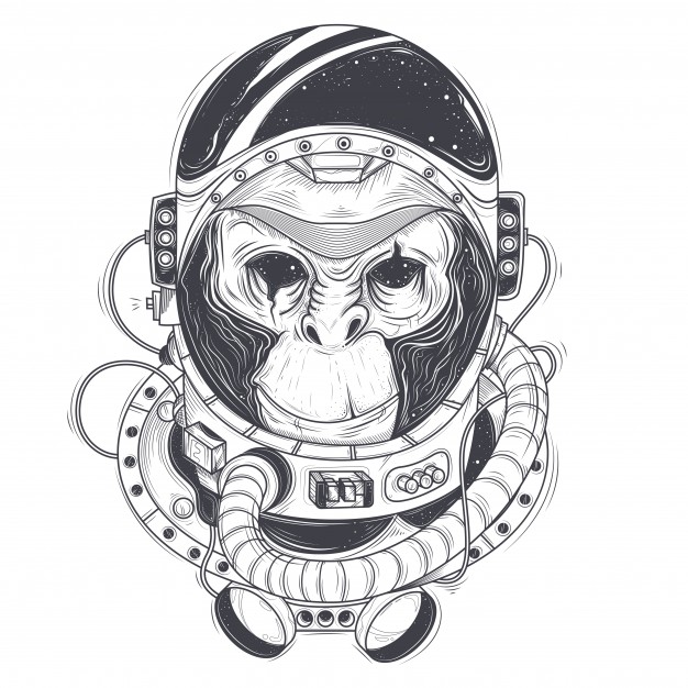 Download Flying Monkey Vector at Vectorified.com | Collection of ...