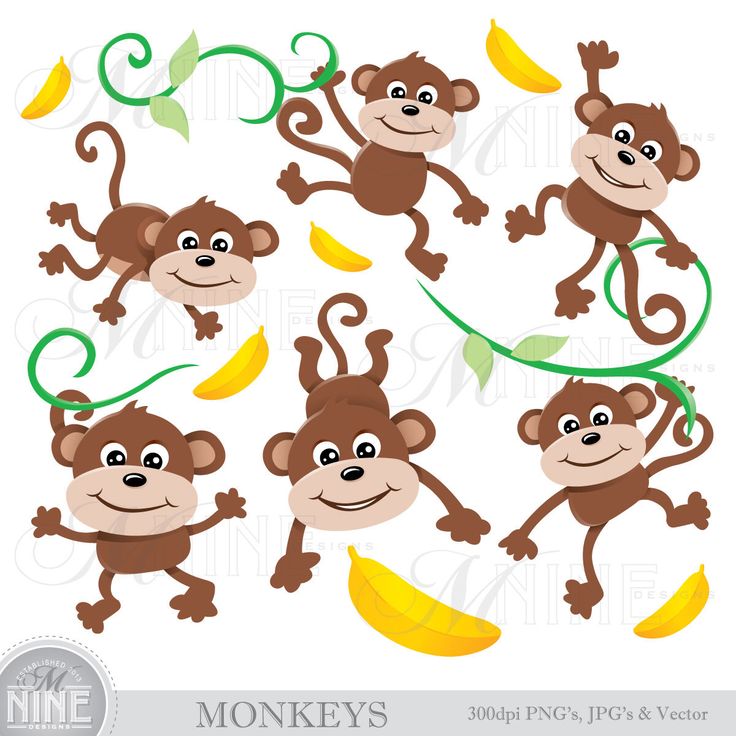 Download Flying Monkey Vector at Vectorified.com | Collection of ...