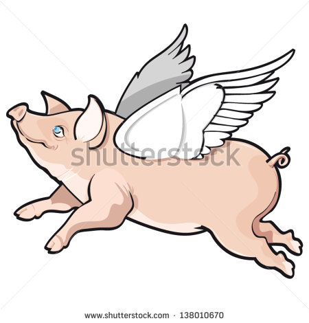 Flying Pig Vector