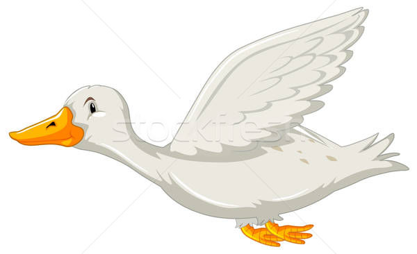 600x366 Flying Swan Stock Photos, Stock Images And Vectors Stockfresh