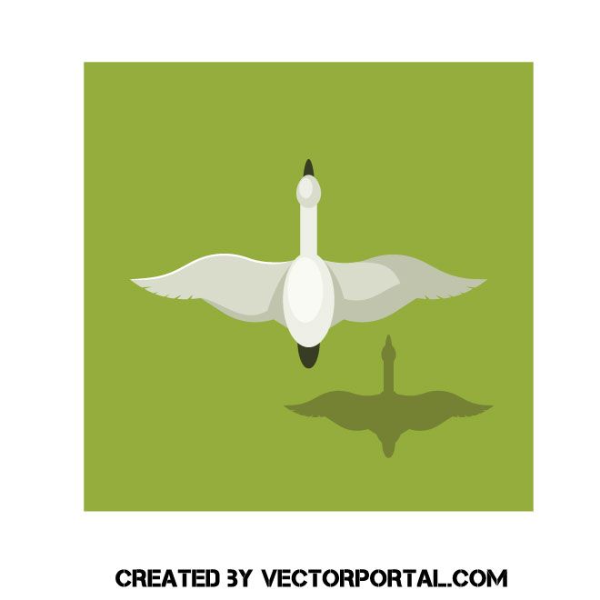 660x660 Flying Swan Vector Image Animal Vectors In Free Vector