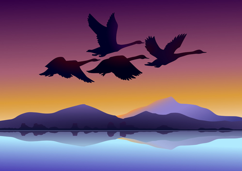 500x354 Flying Swan With Sunset Background Vector Free Download