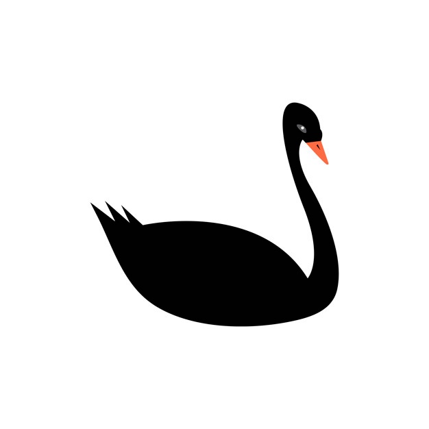 626x626 Swan Vectors, Photos And Free Download