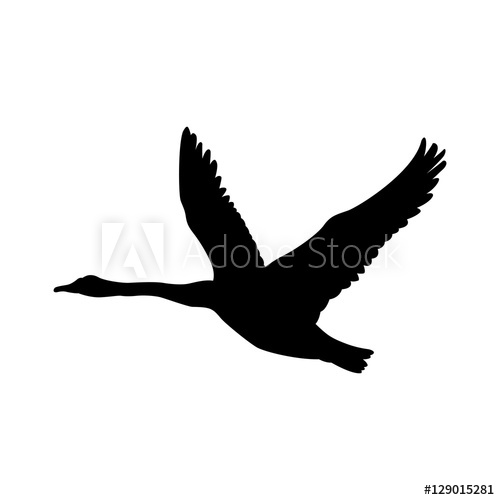 500x500 Swan Fly Vector Illustration Black Silhouette