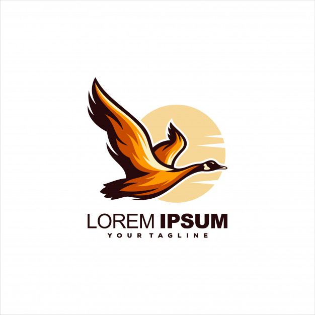 626x626 Awesome Flying Swan Logo Design Vector Premium Download