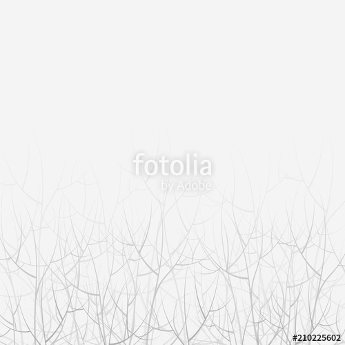 500x500 Gray Sad Depressive Outline Of Thin Tree Branches Spilled