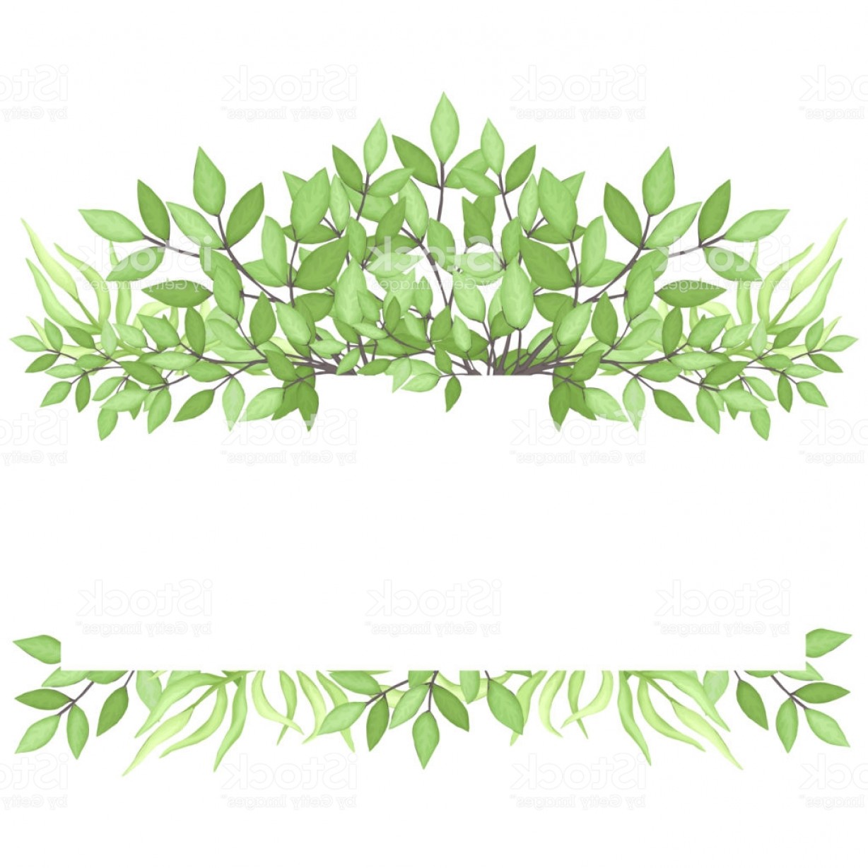 1228x1228 Herbal Card With Green Foliage Gm Cqrecords